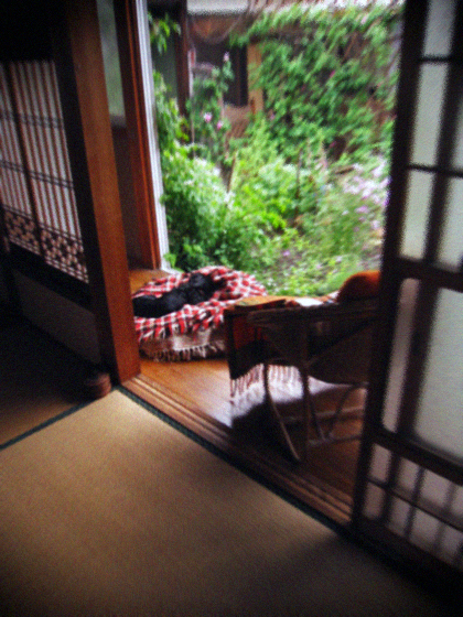 d0077603_957159.jpg