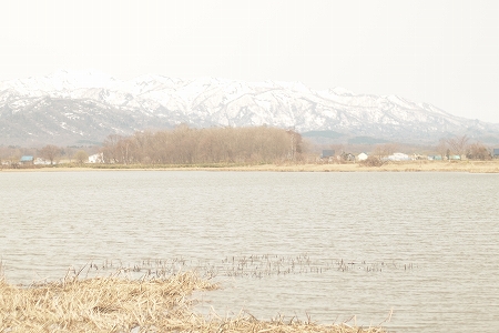 c0202705_13223352.jpg