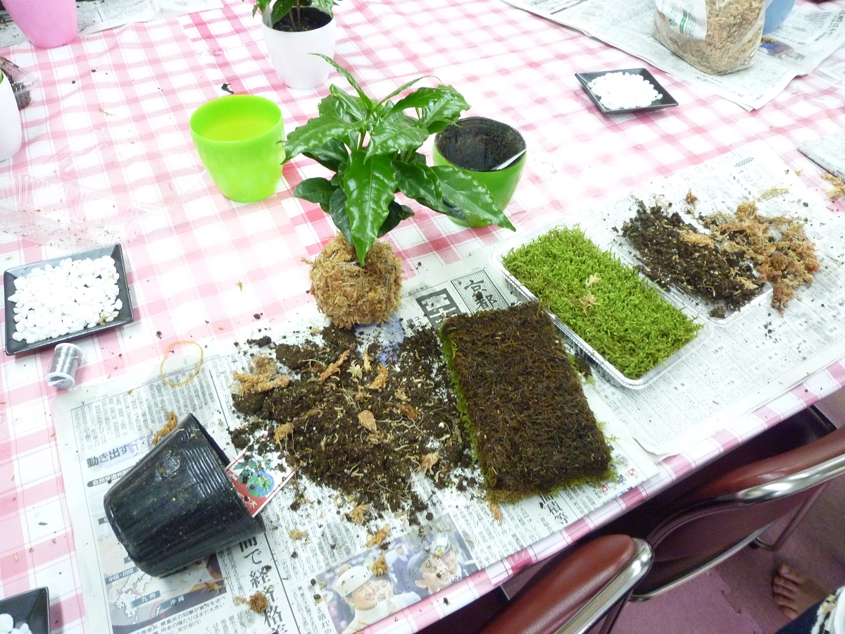 f0223705_124152.jpg