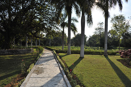 a0278809_17192738.jpg