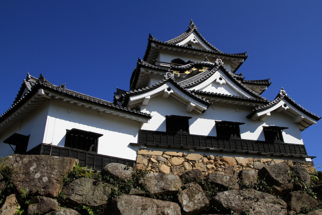 f0207313_1031684.jpg