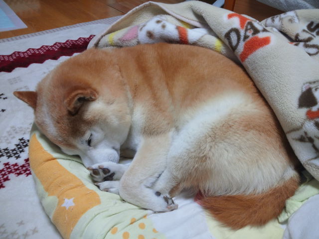 c0060620_0345823.jpg