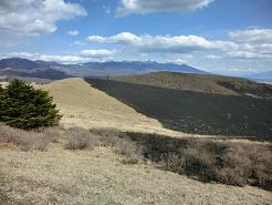 f0022024_21501635.jpg