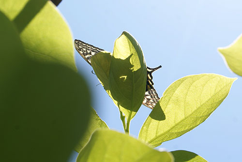 c0184125_18211642.jpg