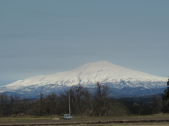 f0118332_1594585.jpg