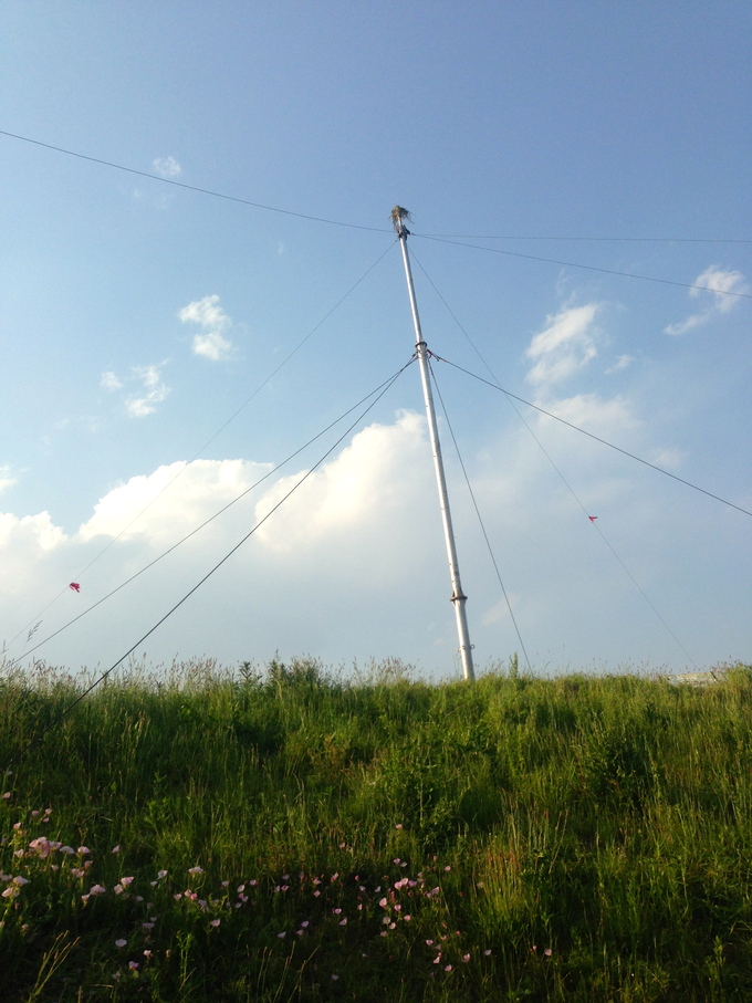 d0013834_22205995.jpg