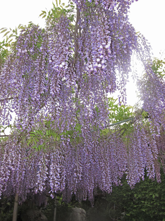 b0042837_21344874.jpg