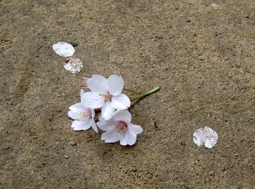 b0178339_16225577.jpg