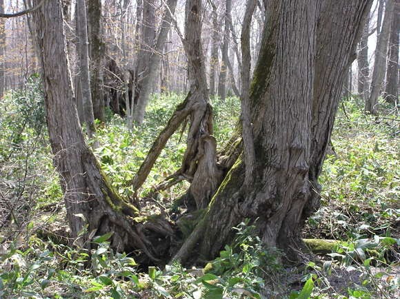 c0254440_0301962.jpg