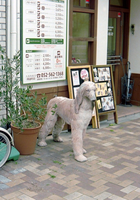 d0089742_0104753.jpg