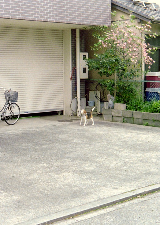 d0089742_0112455.jpg