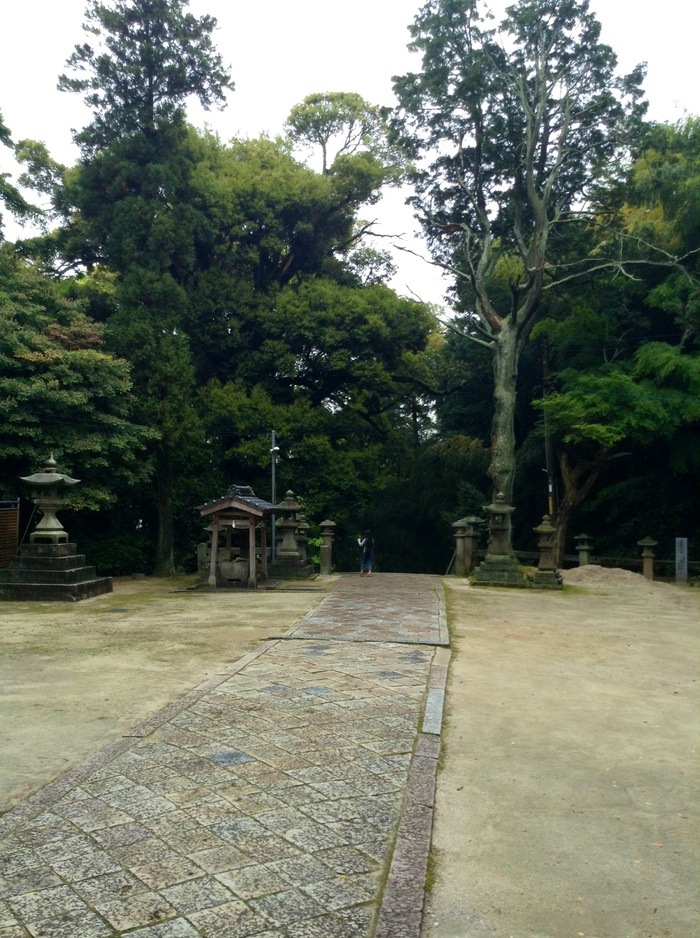 f0183846_1722161.jpg
