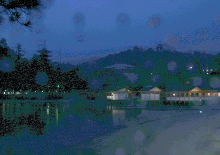 d0163550_17335087.jpg