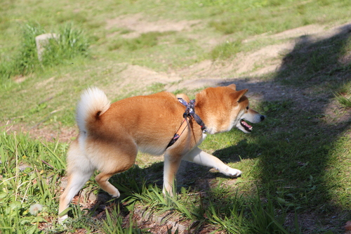 f0245650_829391.jpg
