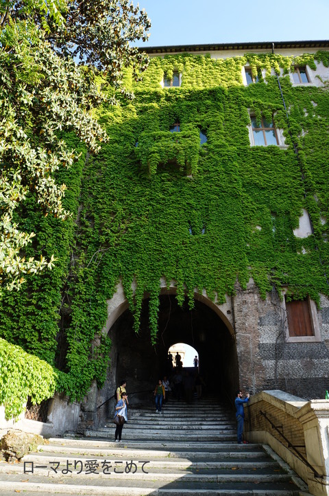 c0206352_0554059.jpg