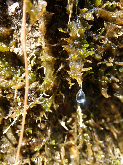 e0213956_8521813.jpg