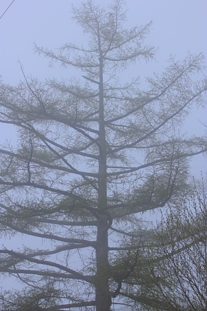 f0232758_19114268.jpg