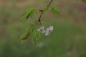 f0232758_19143636.jpg