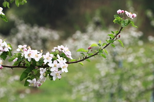 f0232758_19324855.jpg