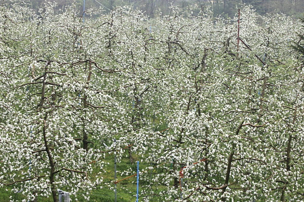 f0232758_1933141.jpg