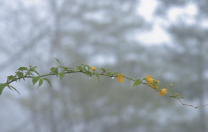 f0232758_20185330.jpg