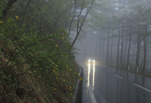 f0232758_2019371.jpg