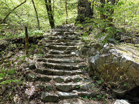 e0088260_14341529.jpg