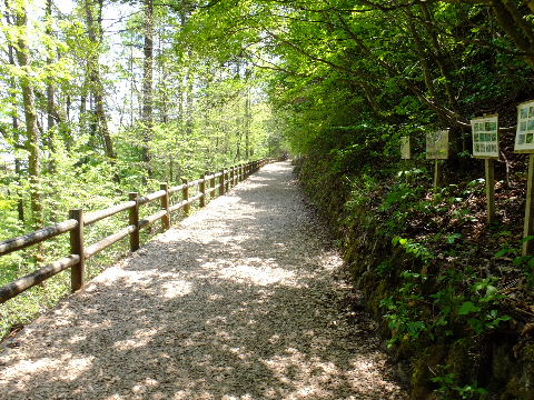 e0088260_1434373.jpg