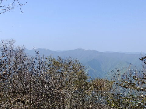 e0088260_14344866.jpg