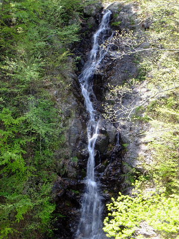 e0088260_1435584.jpg