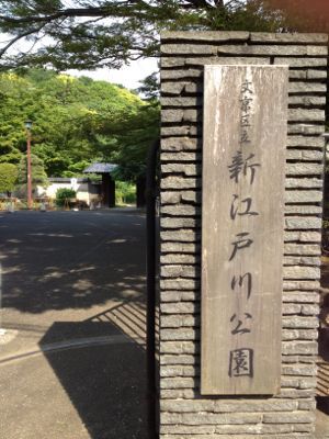 b0145863_21471053.jpg