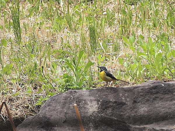 f0215964_11344472.jpg