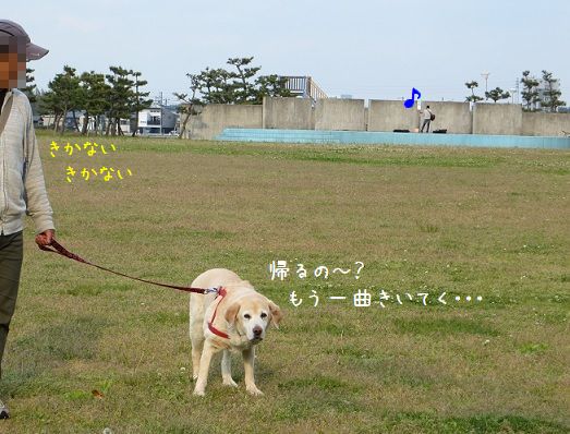 d0120665_0102725.jpg