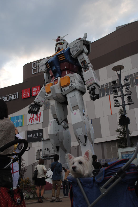 b0242873_14385741.jpg
