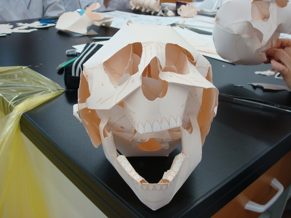 d0073476_1275490.jpg