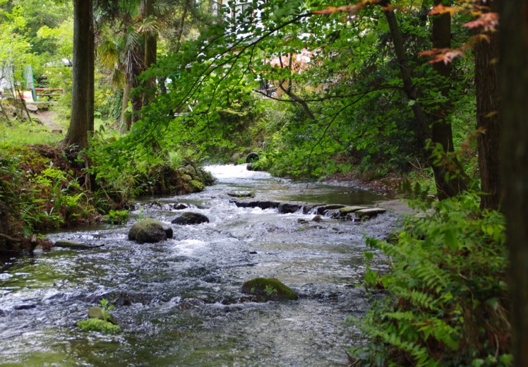 c0144185_15444065.jpg