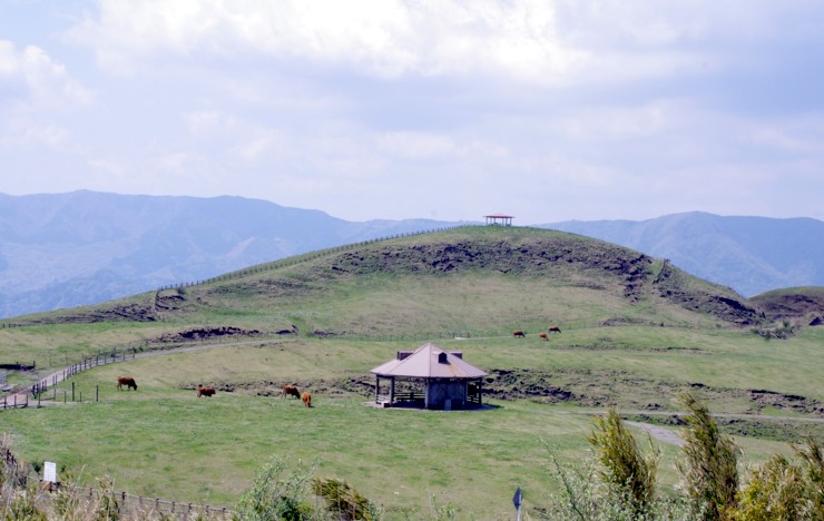 c0144185_15523517.jpg