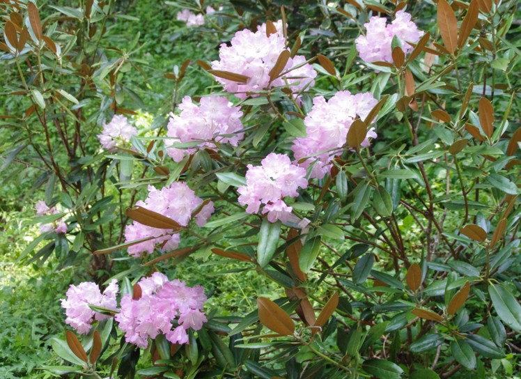 c0144185_160945.jpg