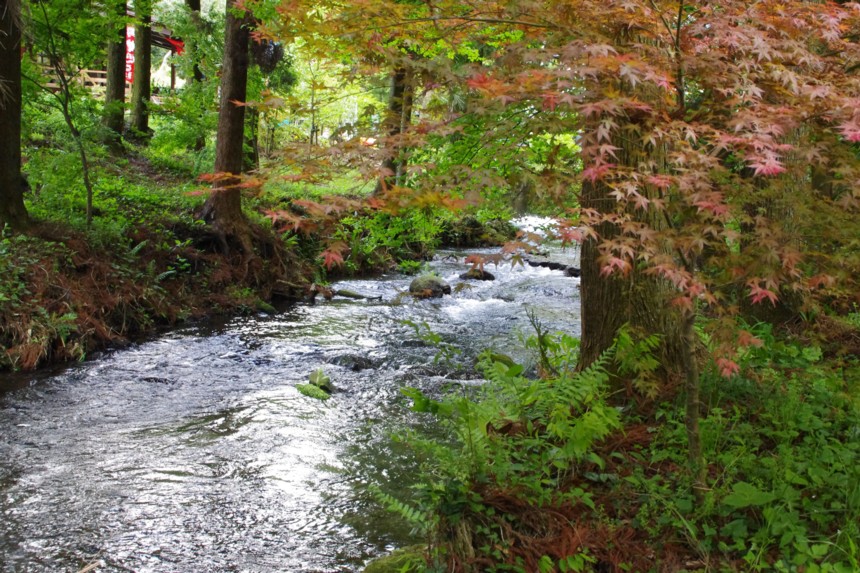 c0144185_1673978.jpg