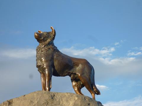 c0123890_13191889.jpg