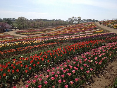 e0152990_1035326.jpg