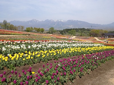 e0152990_10365185.jpg