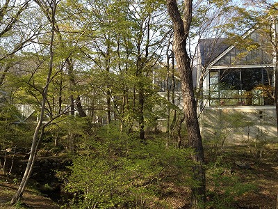e0152990_951121.jpg