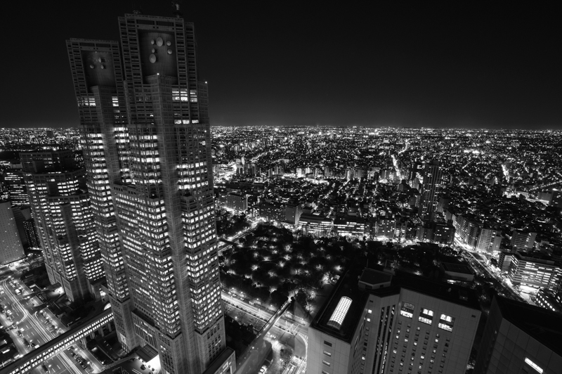 a0185693_959535.jpg