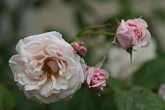 e0209997_12184578.jpg