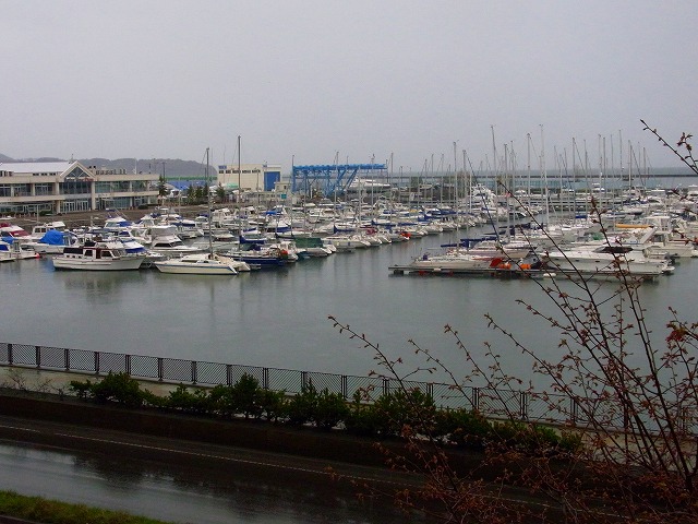 f0157901_20254567.jpg