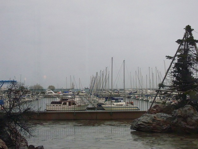 f0157901_20261799.jpg