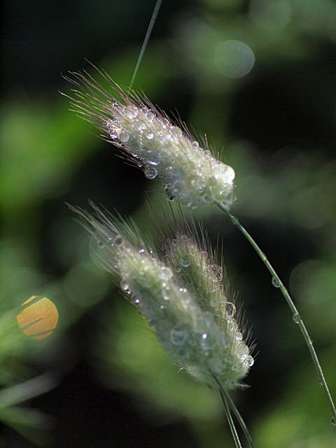 c0187503_1927596.jpg
