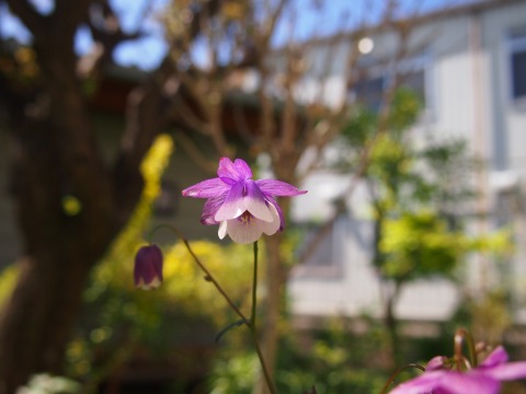c0117007_20481992.jpg
