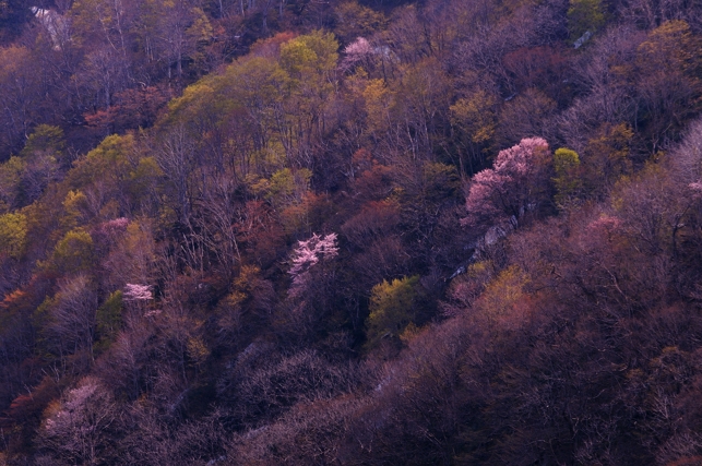 d0211108_1885223.jpg